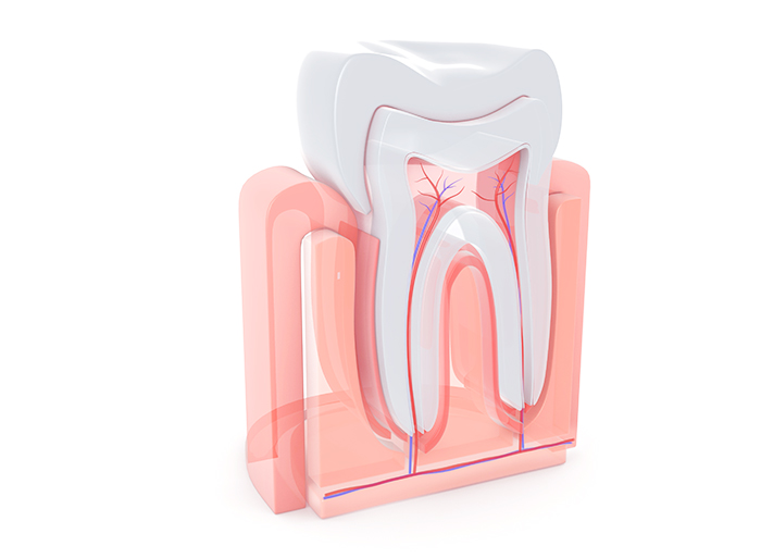 抜歯を避け、できる限り歯を残します